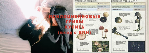 бошки Надым