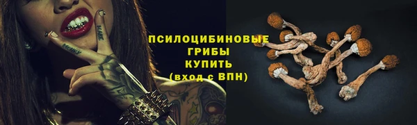 бошки Надым